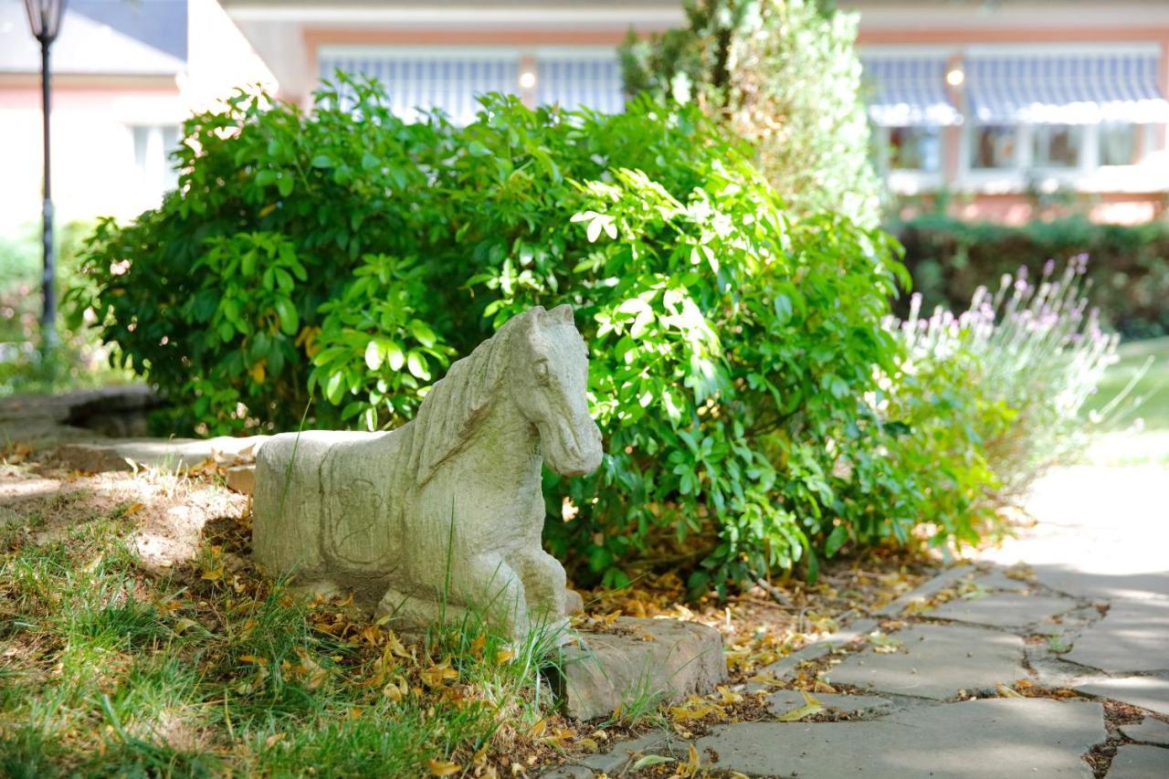 Hotel Gruber Steinheim Zewnętrze zdjęcie